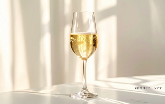 クリスマスプラン〜オードブル〜イメージ